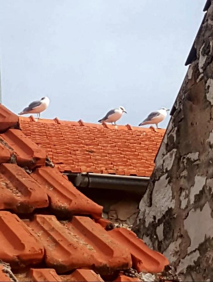 Hvar Heart Heritage Apartment Stari Grad  Buitenkant foto